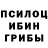 Галлюциногенные грибы Cubensis Tauman T