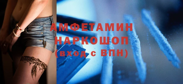 стаф Алзамай
