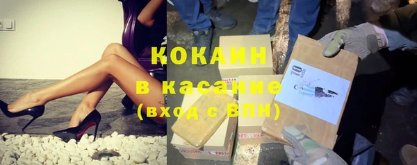 стаф Алзамай