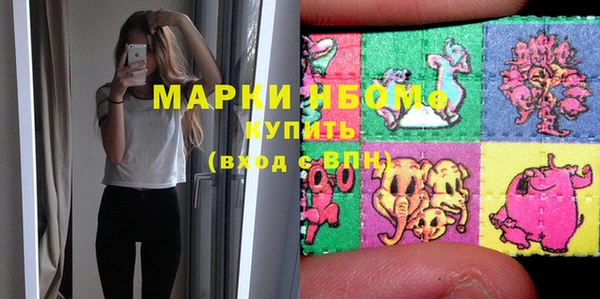 стаф Алзамай