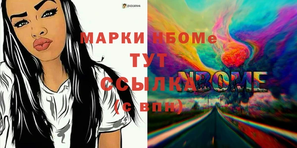 стаф Алзамай