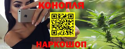 прущие грибы Комсомольск-на-Амуре
