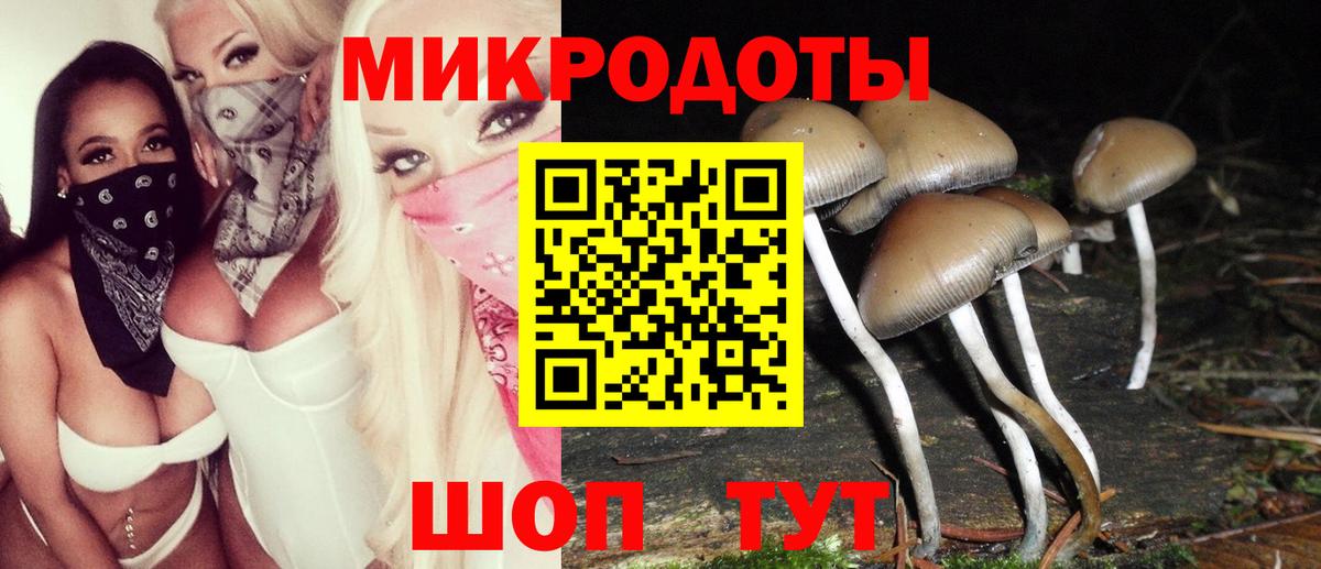 Псилоцибиновые грибы Magic Shrooms  Вход с VPN  Волгоград  Псилоцибиновые грибы Psilocybine cubensis 